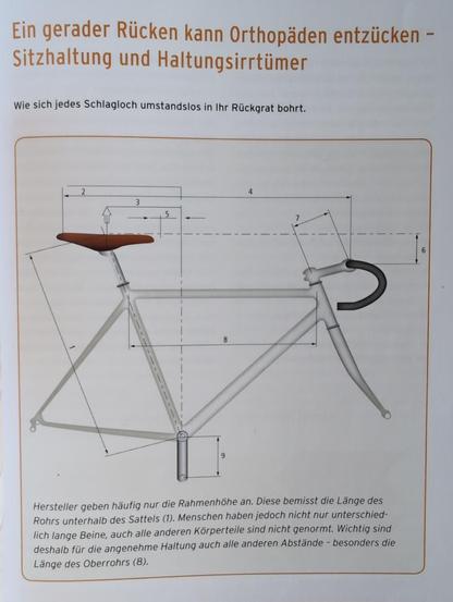 technische Zeichnung in einem Fahrradbuch, die suggeriert, die Rahmenhöhe würde vom Sattel bis zum Tretlager gemessen