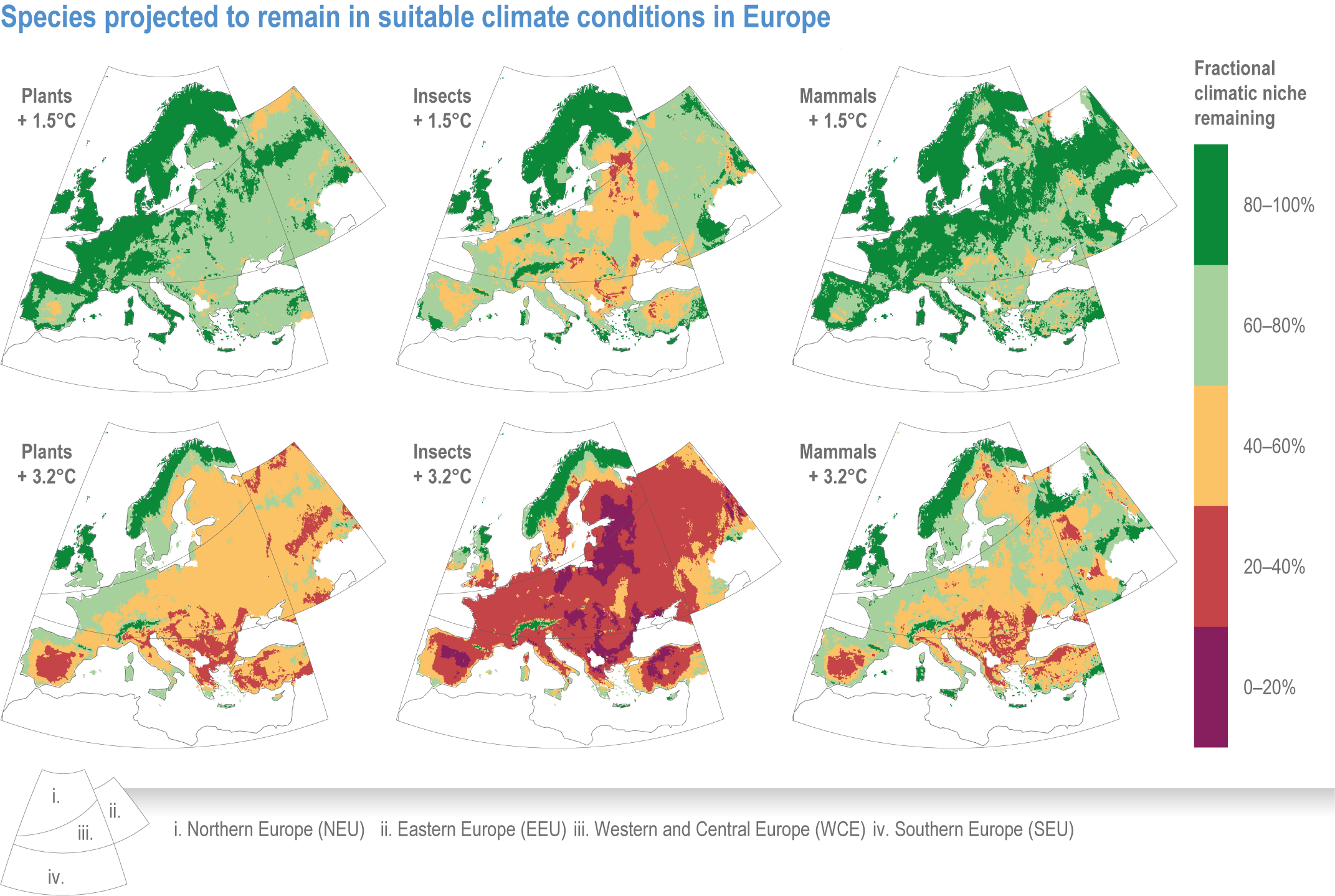 Screenshot of Figure 13.9 in AR6-WG2, chapter 13, Europe. 

Europe maps show suitable climate conditions for native plants, insects and mammals, at warming of 1.5°C and 3.2°C:

At global 1.5°C, insects lose 40-60% of their habitat in many and vast regions of Europe. In small areas, they virtually risk extinction.
At 3.2°C, plants lose 40-60% of their habitat in all regions.
Mammals fare a little better than plants and keep their habitat in a bit larger areas.

Insects go extinct at 3.2°C in all regions, keeping at most 20-40% of their habitat. In some North Europe regions and East Europe it's 100% loss.

Caption:
Figure 13.9 |  Species projected to remain within their suitable climate conditions at increasing levels of climate change. Colour shading represents the proportion of species projected to remain within their suitable climates averaged over 21 CMIP5 climate models (Warren et al., 2018). Areas shaded in green retain a large number of species with suitable climate conditions, while those in purple represent areas where climates become unsuitable for more than 80% of species without dispersal . 

Further text:
Risks for terrestrial ecosystems will increase with warming with high impacts at > 2.4°C and very high impacts > 3.5°C.


Source:
Figure 13.9 in Chapter 13 Europe in AR6-WorkingGroup2
https://www.ipcc.ch/report/ar6/wg2/