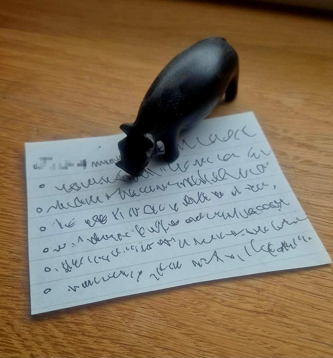 Auf einem Hölzernen Untergrund sieht man einen Notizzettel mit einigen Punkten einer Liste. Die Schrift selbst ist nicht lesbar, da das verfassende Kind noch nicht schreiben kann. Der Zettel wird von einer schwarzen Figur eines Nilpferds als Beschwerung gehalten.