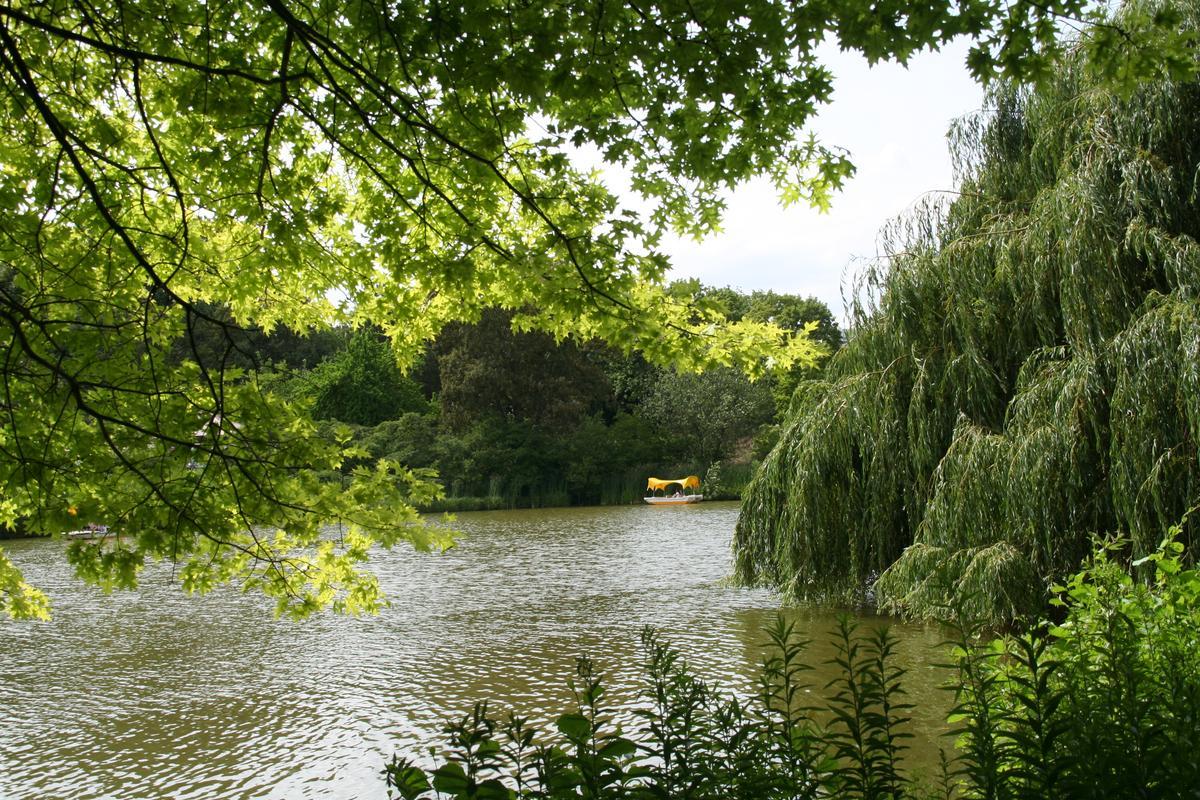 Foto im Querformat. Blick auf einen Weiher. Links ragen grüne Äste eines Baumes ins Bild, rechts in etwas Entfernung steht eine Trauerweide und hängt ihre Zweige bis kurz vor die Wasseroberfläche. Noch etwas weiter weg in der Bildmitte ist eine Gondoletta erkennbar, mit weißem Unterteil und gelbem Baldachin.